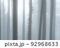 霧の木立 92968633