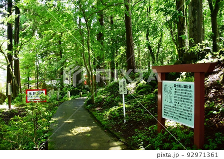 富士山東口本宮・須走口登山道　冨士浅間神社の裏参道（浅間の杜） 92971361