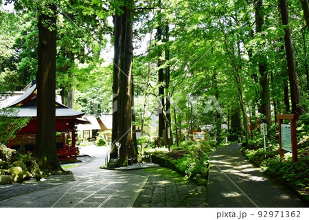 富士山東口本宮・須走口登山道　冨士浅間神社の裏参道（浅間の杜）入口 92971362