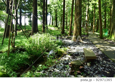 富士山東口本宮・須走口登山道 冨士浅間神社裏参道(浅間の杜)の散策路と水路 富士山東口本宮・須走口登山道 冨士浅間神社裏参道(浅間の杜)の散策路と水路 92971365
