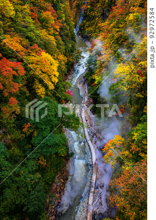 【秋田県･小安峡】 河原湯橋から眺めるV字谷の小安峡の紅葉 10月 92972584