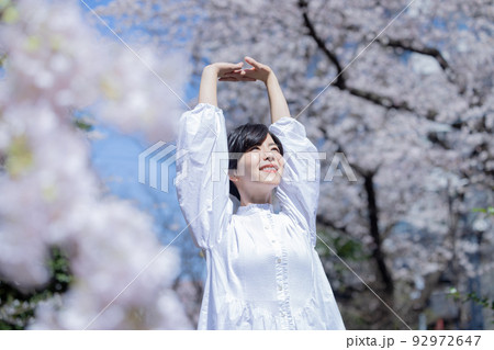 桜　女性 92972647