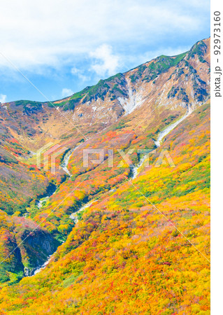 黒部平から望む秋の立山 92973160