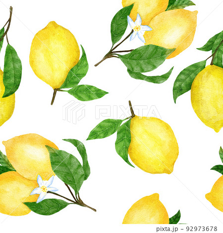 Watercolor hand drawn seamless pattern with lemon citrus fruit. Summer bright organic sweet tasty food botanic print. Harvest tree ornament textile. Watercolor hand drawn seamless pattern with lemon citrus fruit. Summer bright organic sweet tasty food botanic print. Harvest tree ornament textile. 92973678