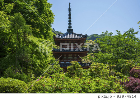 京都　三室戸寺の三重塔と新緑　 92974814