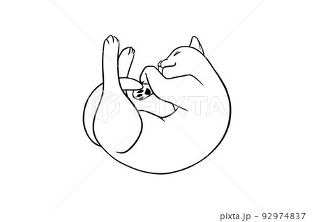 Lying cat black sketch. Playful cat in doodle style. Vector illustration 92974837