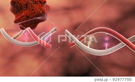Dna Disorder. Strand. Science Chemistry And Medical Concept Dna Disorder. Strand. Science Chemistry And Medical Concept 92977700