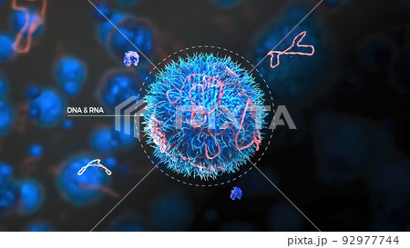 Dna attacked by nuclease Protein Bound To Dna Molecule Dna attacked by nuclease Protein Bound To Dna Molecule 92977744