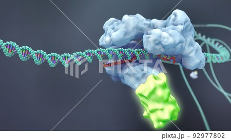DNA chain surrounded and attacked by the virus. 92977802