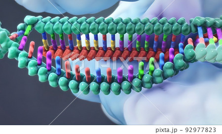 The genetic structure of 3D animated DNA The genetic structure of 3D animated DNA 92977823