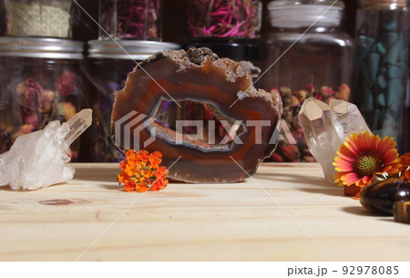 Agatized Coral With Quartz Crystals and Flowers on Meditation Table Agatized Coral With Quartz Crystals and Flowers on Meditation Table 92978085