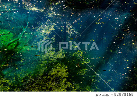 十二湖　青池 92978169