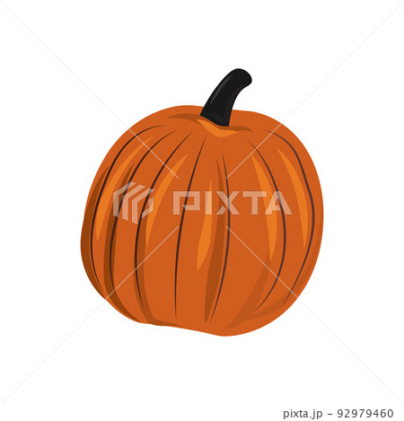 Orange pumpkin isolated on white background, harvest festival - Vector 92979460