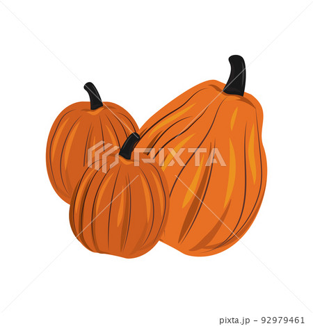 Orange pumpkins on a white background, harvest festival - Vector 92979461