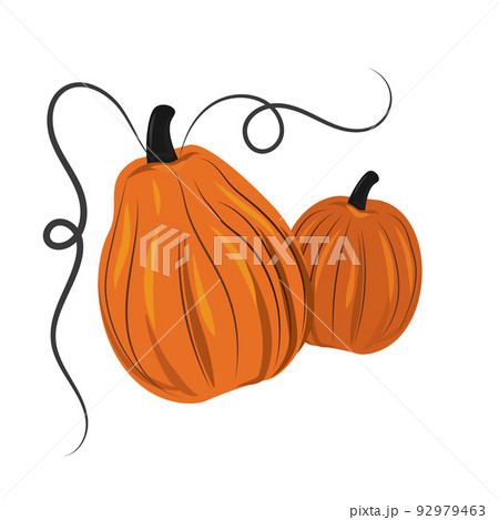 Orange pumpkins on a white background, harvest festival - Vector 92979463