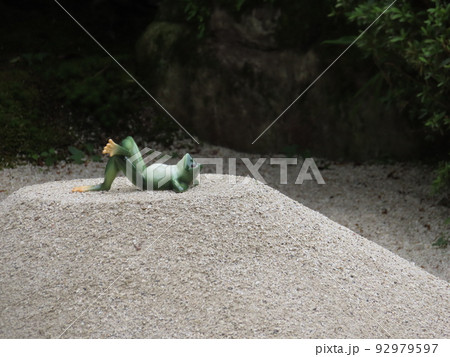 枯山水の小山で寝転ぶカエル 枯山水の小山で寝転ぶカエル 92979597