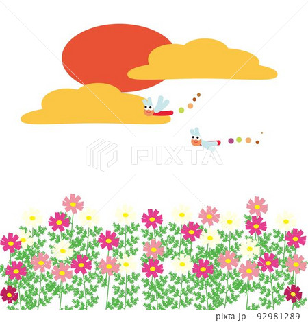 夕暮れ時に秋桜畑を飛ぶトンボのイラスト 92981289
