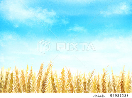 青空と麦畑の水彩画 92981583