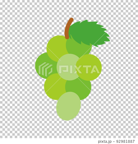 Illustration of a simple Muscat Illustration of a simple Muscat 92981887