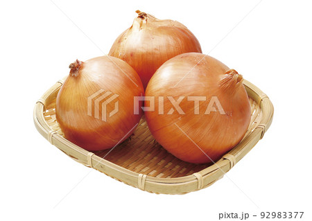 タマネギ_03（パス付） 92983377