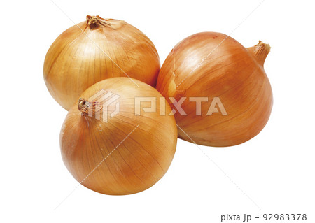 タマネギ_04(パス付) タマネギ_04(パス付) 92983378