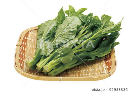 ツルムラサキ_06(パス付) ツルムラサキ_06(パス付) 92983386