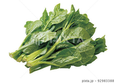 ツルムラサキ_08（パス付） 92983388