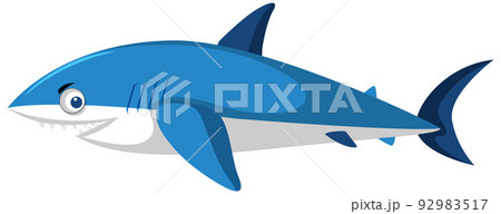 Cute shark cartoon character isolated 92983517