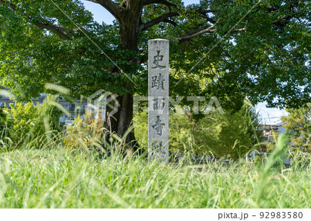 京都・平安京・西寺跡 京都・平安京・西寺跡 92983580