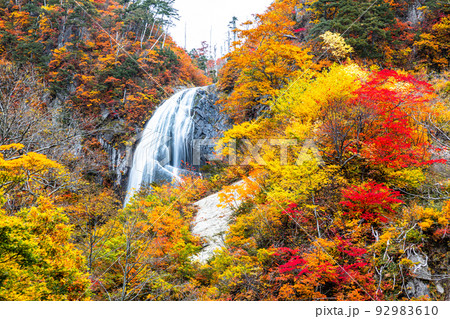 【秋田県･安の滝】大自然が創り出す絶景『安の滝の紅葉』 10月 92983610