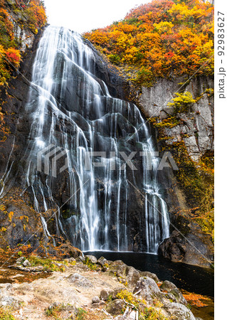 【秋田県・安の滝】大自然が創り出す絶景『安の滝の紅葉』 10月 【秋田県・安の滝】大自然が創り出す絶景『安の滝の紅葉』 10月 92983627