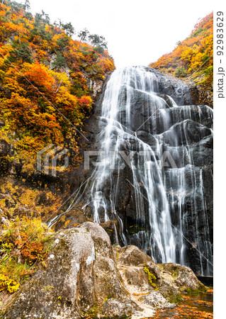 【秋田県・安の滝】大自然が創り出す絶景『安の滝の紅葉』 10月 【秋田県・安の滝】大自然が創り出す絶景『安の滝の紅葉』 10月 92983629