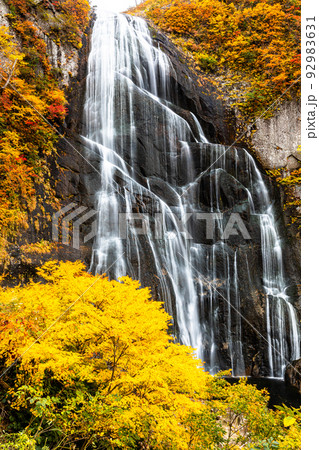 【秋田県・安の滝】大自然が創り出す絶景『安の滝の紅葉』 10月 【秋田県・安の滝】大自然が創り出す絶景『安の滝の紅葉』 10月 92983631