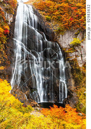 【秋田県・安の滝】大自然が創り出す絶景『安の滝の紅葉』 10月 【秋田県・安の滝】大自然が創り出す絶景『安の滝の紅葉』 10月 92983632