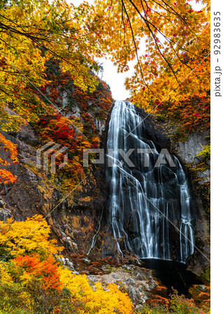 【秋田県・安の滝】大自然が創り出す絶景『安の滝の紅葉』 10月 【秋田県・安の滝】大自然が創り出す絶景『安の滝の紅葉』 10月 92983635
