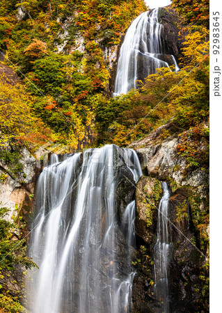 【秋田県･安の滝】大自然が創り出す絶景『安の滝の紅葉』 10月 92983645