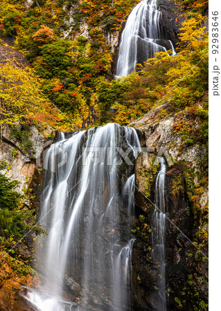 【秋田県・安の滝】大自然が創り出す絶景『安の滝の紅葉』 10月 【秋田県・安の滝】大自然が創り出す絶景『安の滝の紅葉』 10月 92983646