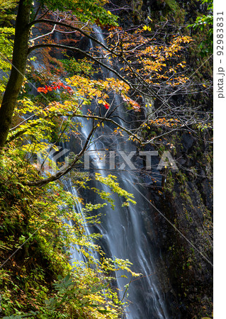 【秋田県・一の滝】大自然が創り出す絶景『一の滝の紅葉』 10月 【秋田県・一の滝】大自然が創り出す絶景『一の滝の紅葉』 10月 92983831
