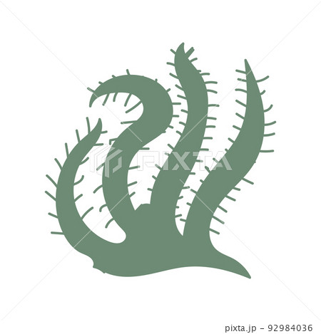 cute seaweed hand drawn vector illustration design element 92984036
