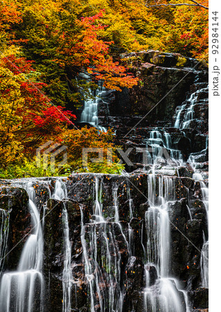 【秋田県・二の滝】大自然が創り出す絶景『二の滝の紅葉』 10月 【秋田県・二の滝】大自然が創り出す絶景『二の滝の紅葉』 10月 92984144
