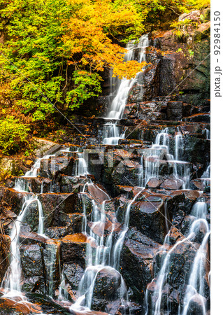 【秋田県・二の滝】大自然が創り出す絶景『二の滝の紅葉』 10月 【秋田県・二の滝】大自然が創り出す絶景『二の滝の紅葉』 10月 92984150