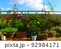 夏に元気な植物で華やかなフラワーガーデン 92984171