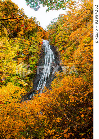 【秋田県･幸兵衛滝】大自然が創り出す絶景『幸兵衛滝の紅葉』 10月 92984262