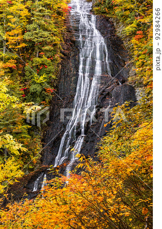【秋田県・幸兵衛滝】大自然が創り出す絶景『幸兵衛滝の紅葉』 10月 【秋田県・幸兵衛滝】大自然が創り出す絶景『幸兵衛滝の紅葉』 10月 92984266