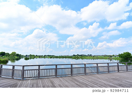 柴山沼の風景　埼玉県白岡市 92984711