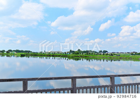 柴山沼の風景 埼玉県白岡市 柴山沼の風景 埼玉県白岡市 92984716