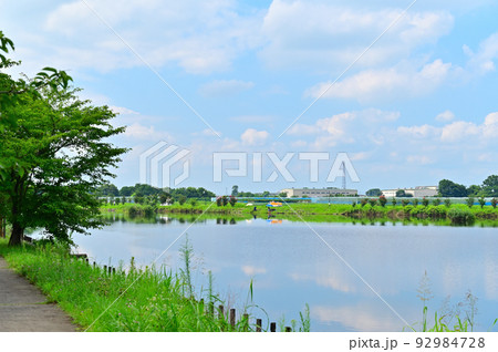 柴山沼の風景　埼玉県白岡市 92984728