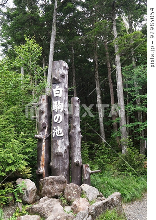 白駒の池への入り口 92985054