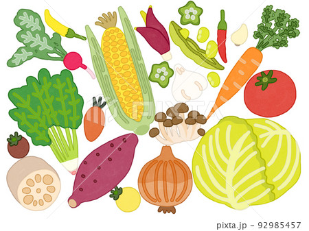 ポップな野菜のセット 背景 水彩画 イラストのイラスト素材 [92985457