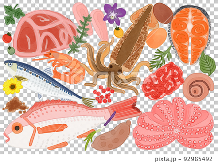 Illustration of fresh ingredients, meat and fish, watercolor painting 92985492